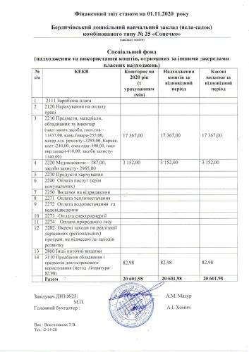 Фінансова звітність станом на 01.11.2020