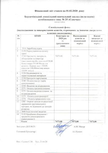 Фінансова звітність станом на 01.02.2020