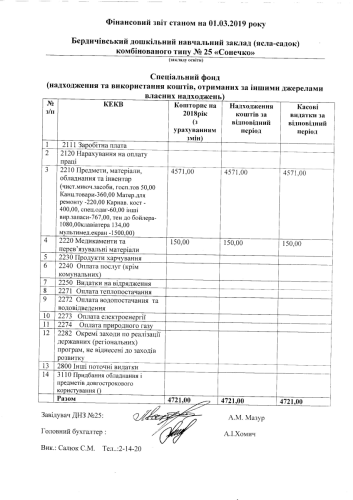 Фінансова звітність станом на 01.03.2019