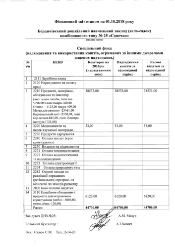Фінансова звітність станом на 01.10.2018